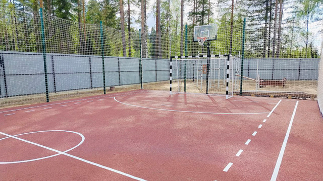 Частное лицо, июнь 2025, с. п. Агалатовское 