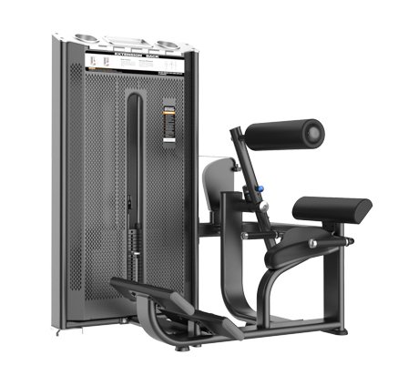 Разгибание спины (Back Extension) E-7031A - вид 2